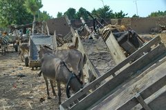 mali2070