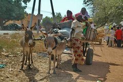 mali2072