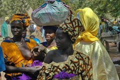 mali2074
