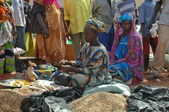 mali2076