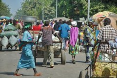 mali2080
