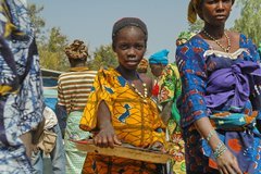 mali2085
