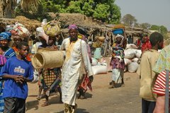 mali2092