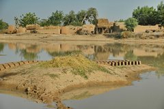 mali2096