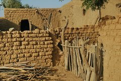 mali2101