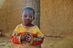 mali2106