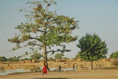 mali2118