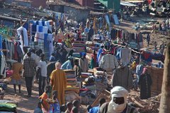mali3029