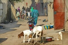 mali3047