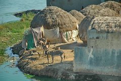 mali3050