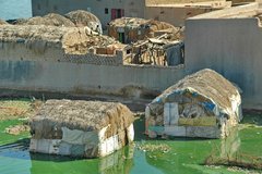 mali3053