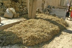 mali3065