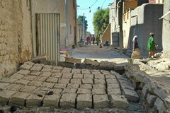 mali3066