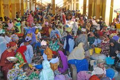 mali3082