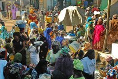 mali3083