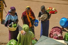 mali3091