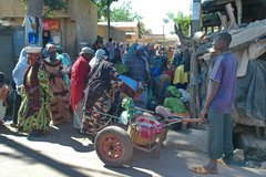 mali3092
