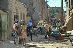 mali3096