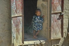 mali3098