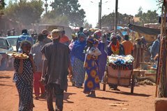 mali3101