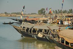 mali3106