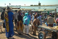mali3126