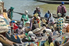mali3134