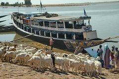 mali3139