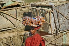 mali3154