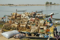 mali3164