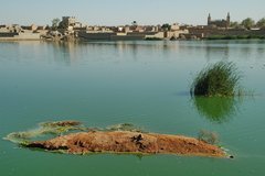 mali3170
