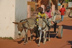 mali3171