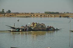 mali3184