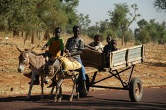mali4001