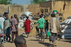 mali4003