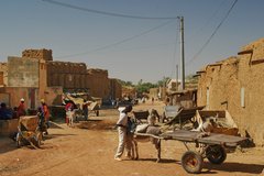 mali4005
