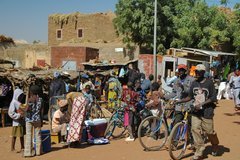 mali4007