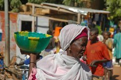 mali4009