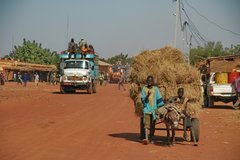 mali4016