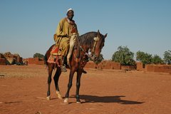 mali4019
