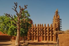mali4023