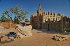 mali4025
