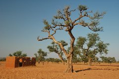 mali4026