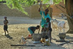 mali4028