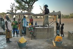 mali4041