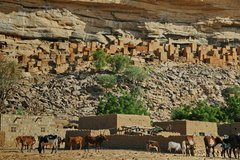 mali4048