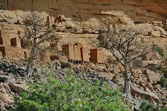 mali4053