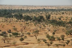 mali4066