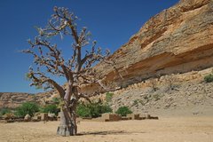 mali4078