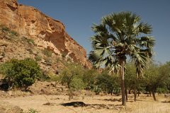 mali4080